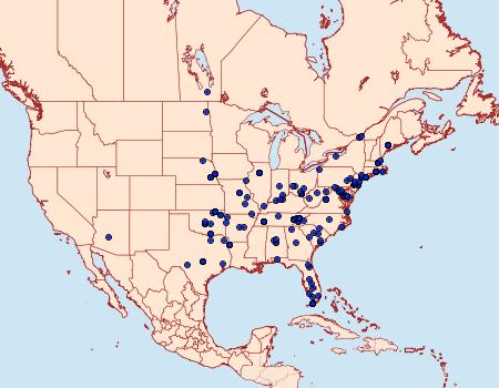 Distribution Data for Ephestiodes infimella