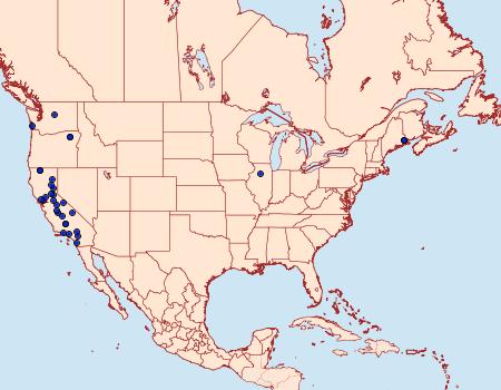 Distribution Data for Ephestiodes erythrella