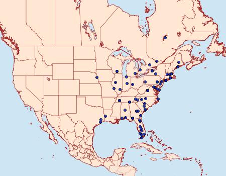 Distribution Data for Moodna pallidostrinella