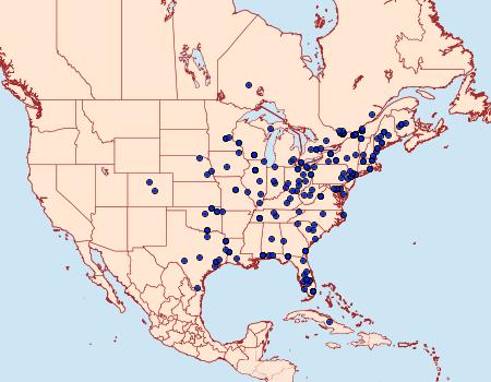 Distribution Data for Moodna ostrinella