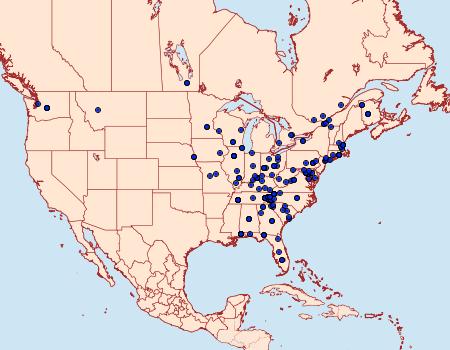 Distribution Data for Vitula edmandsii