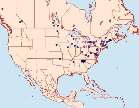 Distribution Data for Vitula broweri