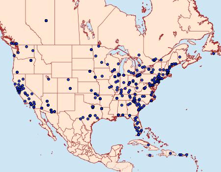 Distribution Data for Plodia interpunctella