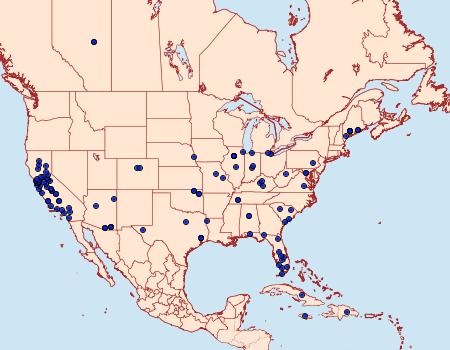 Distribution Data for Ephestia kuehniella