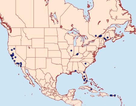 Distribution Data for Cadra cautella