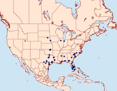 Distribution Data for Tampa dimediatella