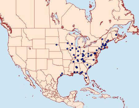 Distribution Data for Varneria postremella