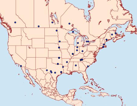 Distribution Data for Eurythmia angulella