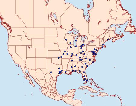 Distribution Data for Atascosa glareosella