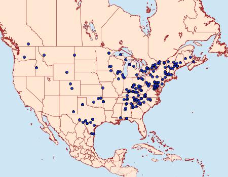 Distribution Data for Thyris maculata