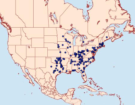 Distribution Data for Pseudothyris sepulchralis