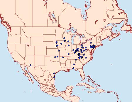 Distribution Data for Dysodia oculatana