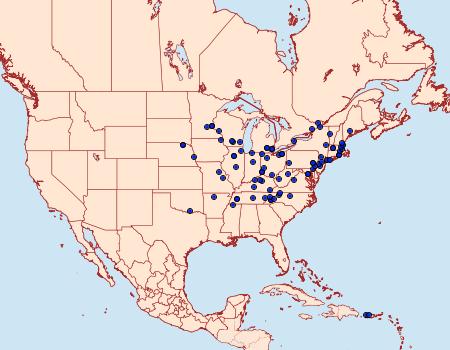 Distribution Data for Geina periscelidactylus