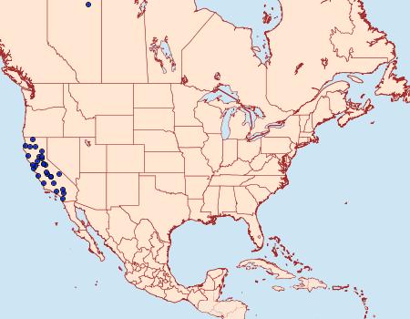 Distribution Data for Capperia ningoris