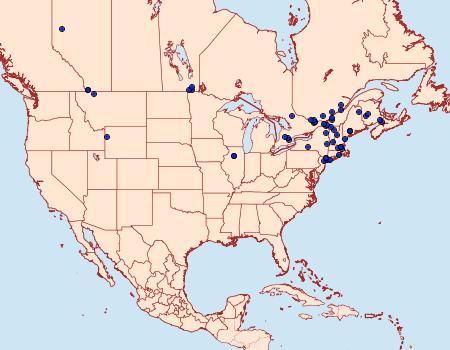 Distribution Data for Dejongia lobidactylus