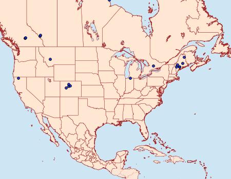 Distribution Data for Platyptilia tesseradactyla