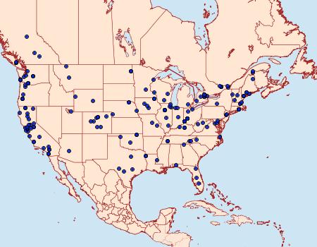 Distribution Data for Platyptilia carduidactylus