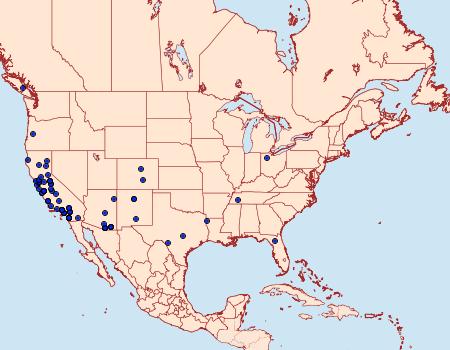 Distribution Data for Anstenoptilia marmarodactyla