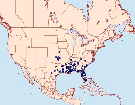 Distribution Data for Pselnophorus belfragei