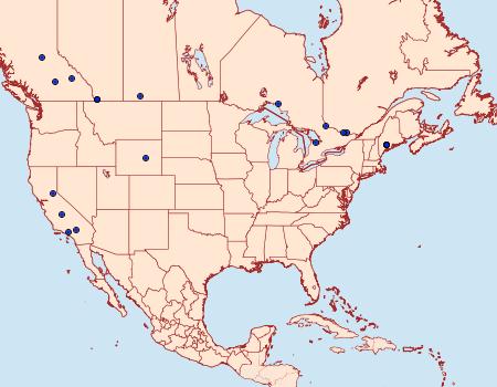 Distribution Data for Oidaematophorus mathewianus