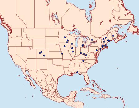 Distribution Data for Oidaematophorus eupatorii