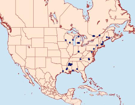 Distribution Data for Caloptilia ostryaeella