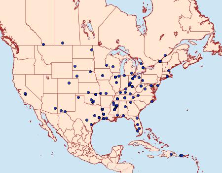 Distribution Data for Hellinsia inquinatus