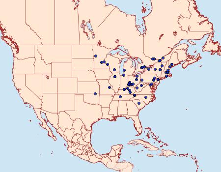 Distribution Data for Caloptilia packardella