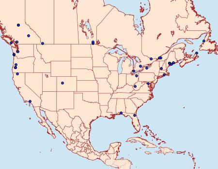 Distribution Data for Hellinsia angustus