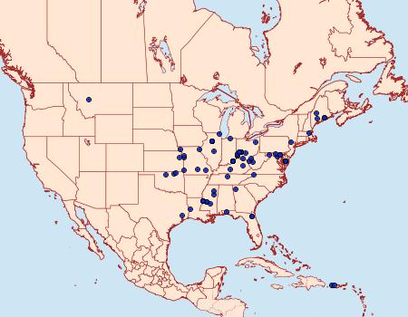 Distribution Data for Hellinsia paleaceus