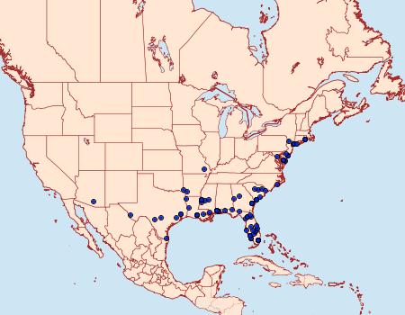 Distribution Data for Hellinsia balanotes