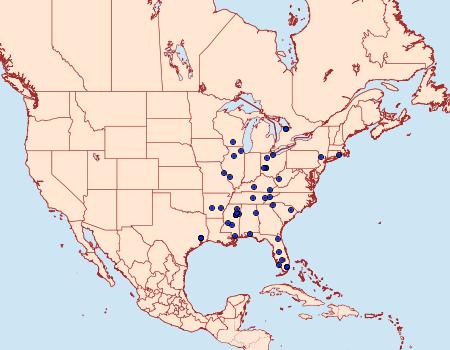 Distribution Data for Hellinsia kellicottii