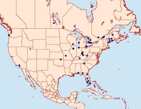 Distribution Data for Hellinsia lacteodactylus