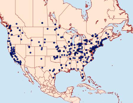 Distribution Data for Emmelina monodactyla