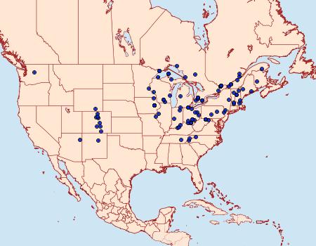 Distribution Data for Habrosyne gloriosa