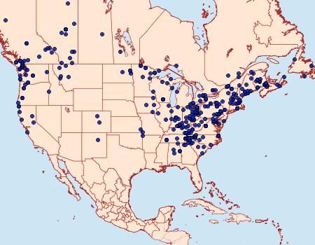 Distribution Data for Pseudothyatira cymatophoroides