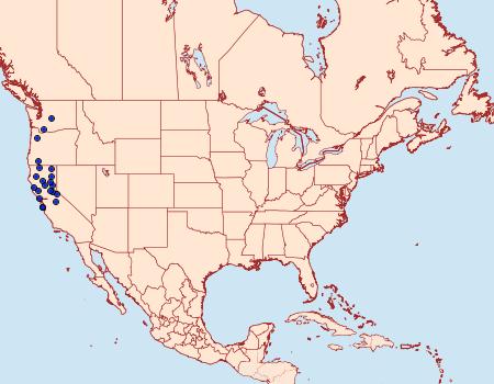 Distribution Data for Euthyatira lorata