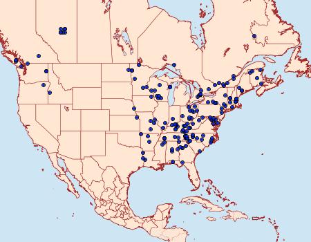 Distribution Data for Euthyatira pudens