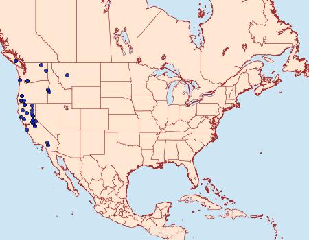 Distribution Data for Euthyatira semicircularis