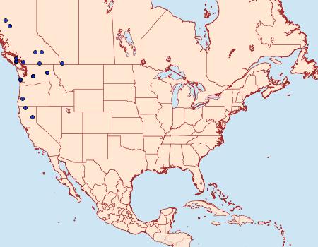 Distribution Data for Ceranemota fasciata