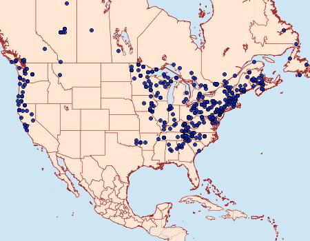 Distribution Data for Drepana arcuata