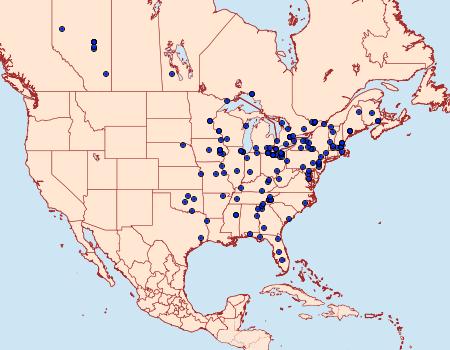 Distribution Data for Eudeilinia herminiata