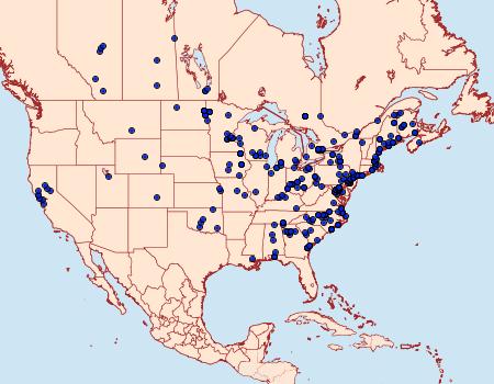 Distribution Data for Alsophila pometaria