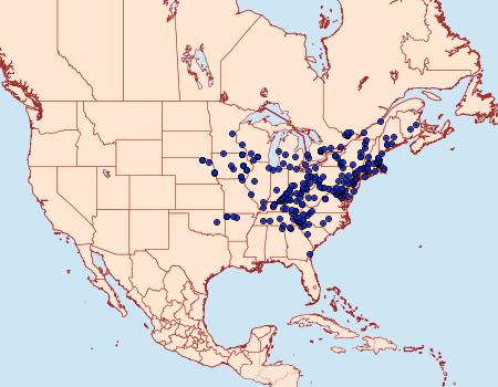 Distribution Data for Heliomata cycladata