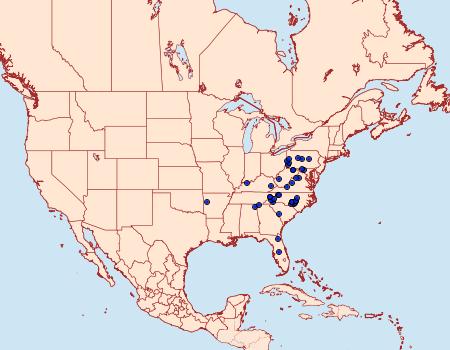 Distribution Data for Heliomata infulata