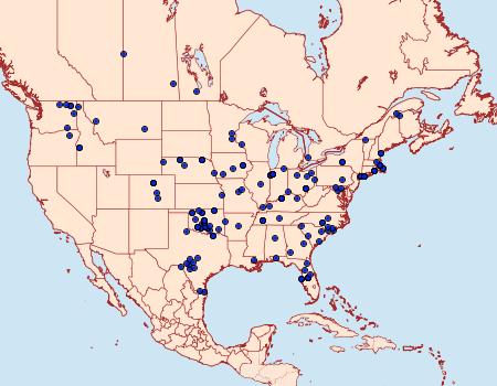 Distribution Data for Eumacaria madopata