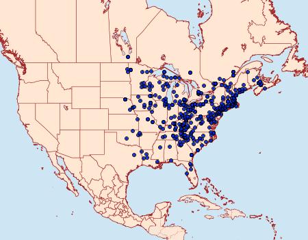 Distribution Data for Macaria pustularia