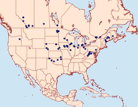 Distribution Data for Macaria ribearia