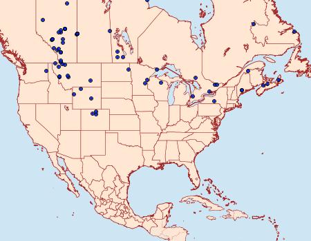 Distribution Data for Macaria occiduaria