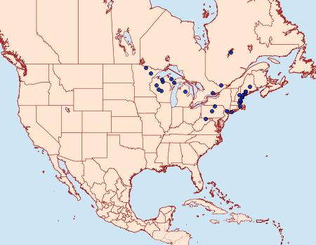 Distribution Data for Macaria argillacearia